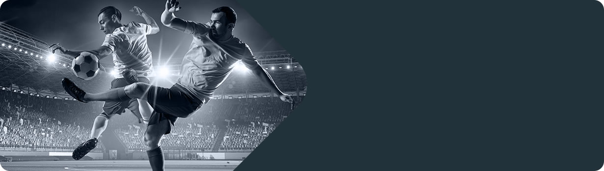 loco sudoku printable
